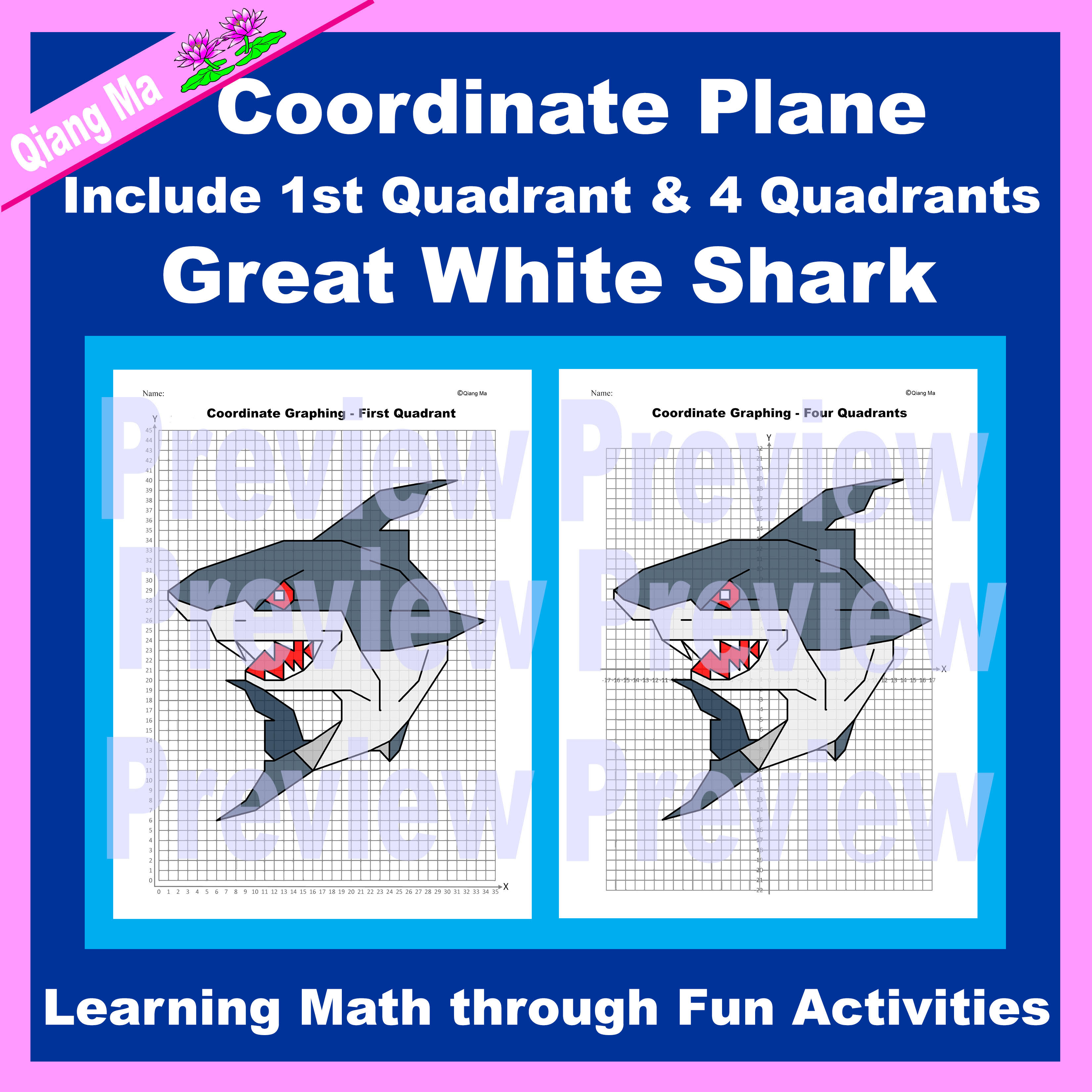 Summer Coordinate Plane Graphing Picture  Lobster