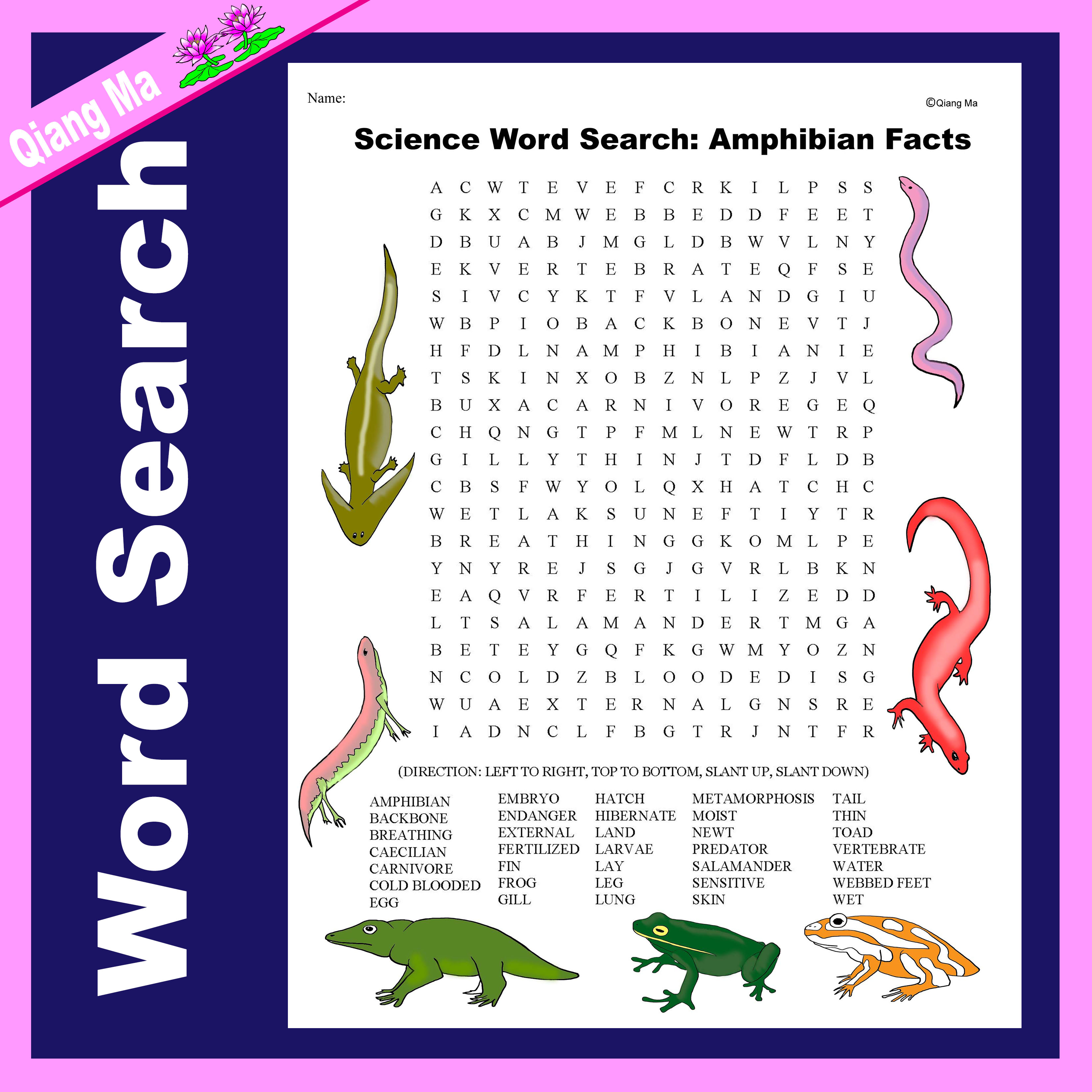 Science Word Search: Amphibian Facts