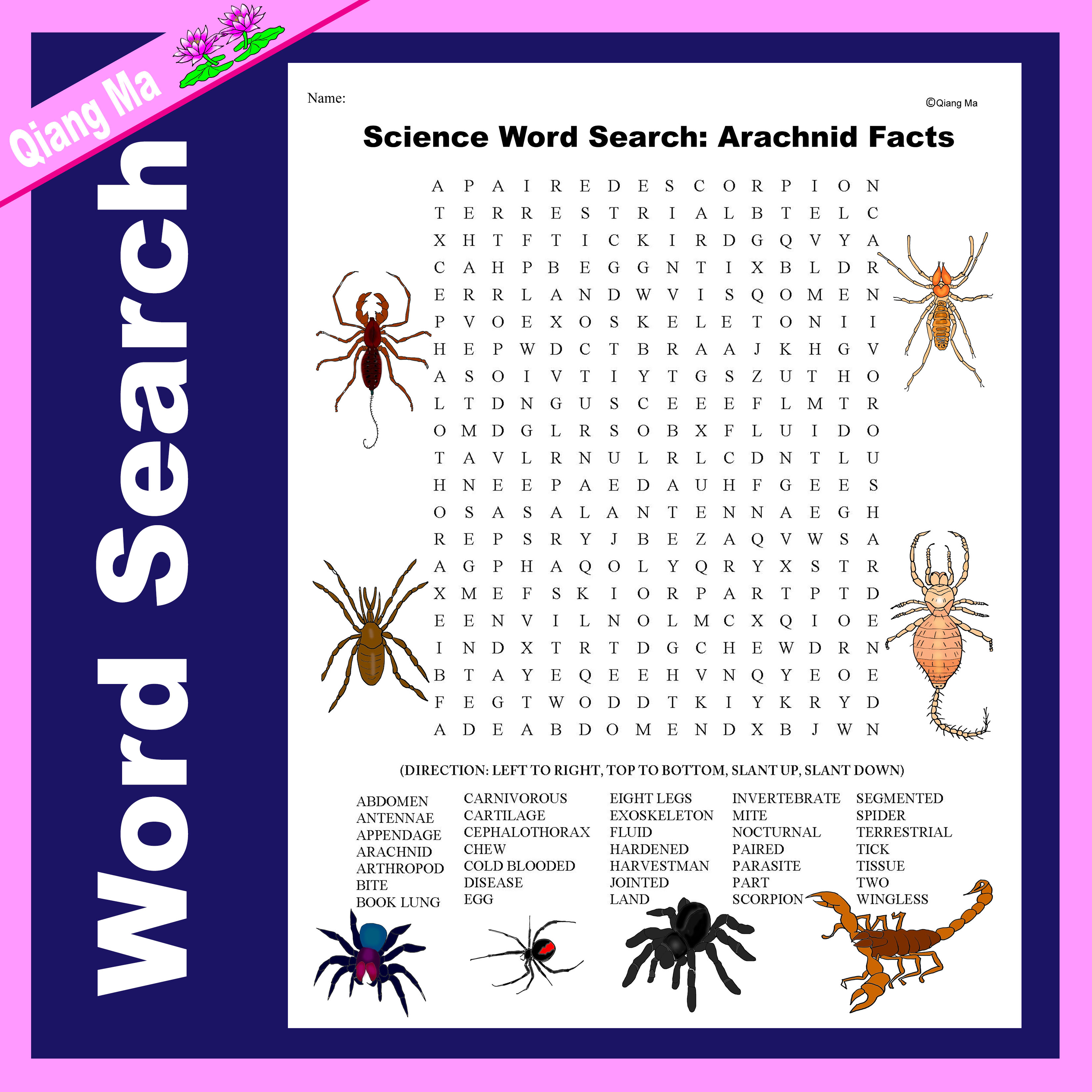 Science Word Search: Arachnid Facts