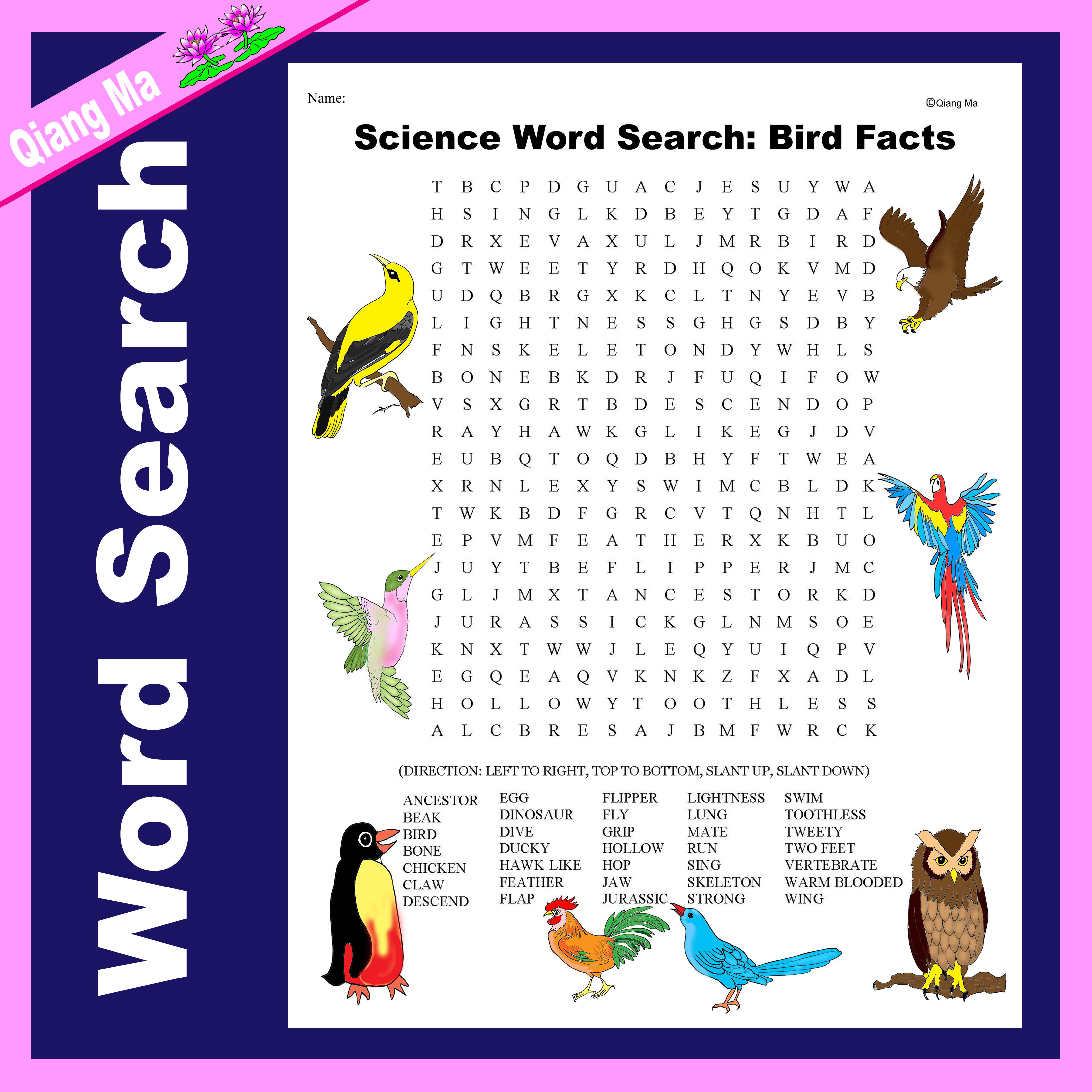 Science Word Search: Bird Facts