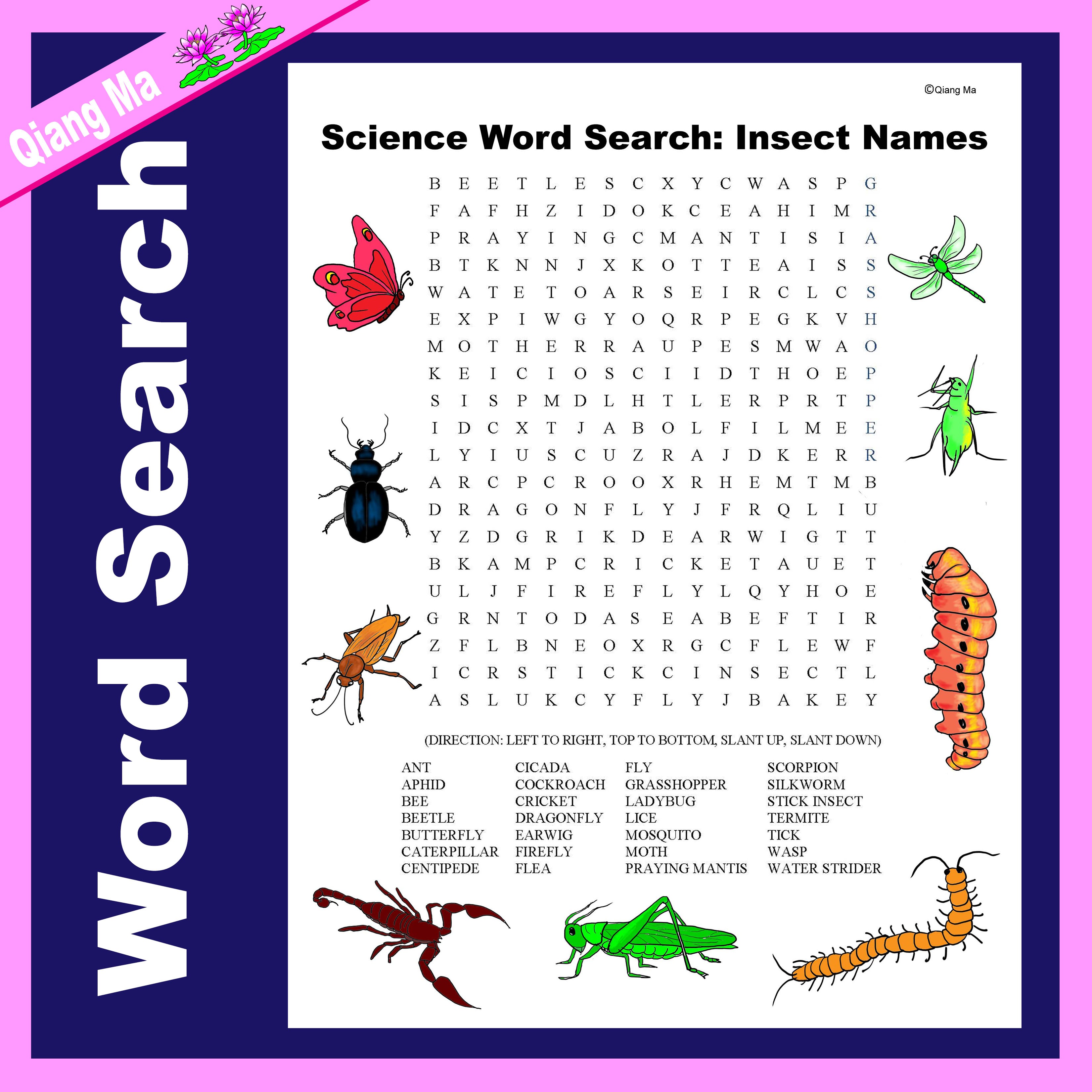 Science Word Search: Insect Names