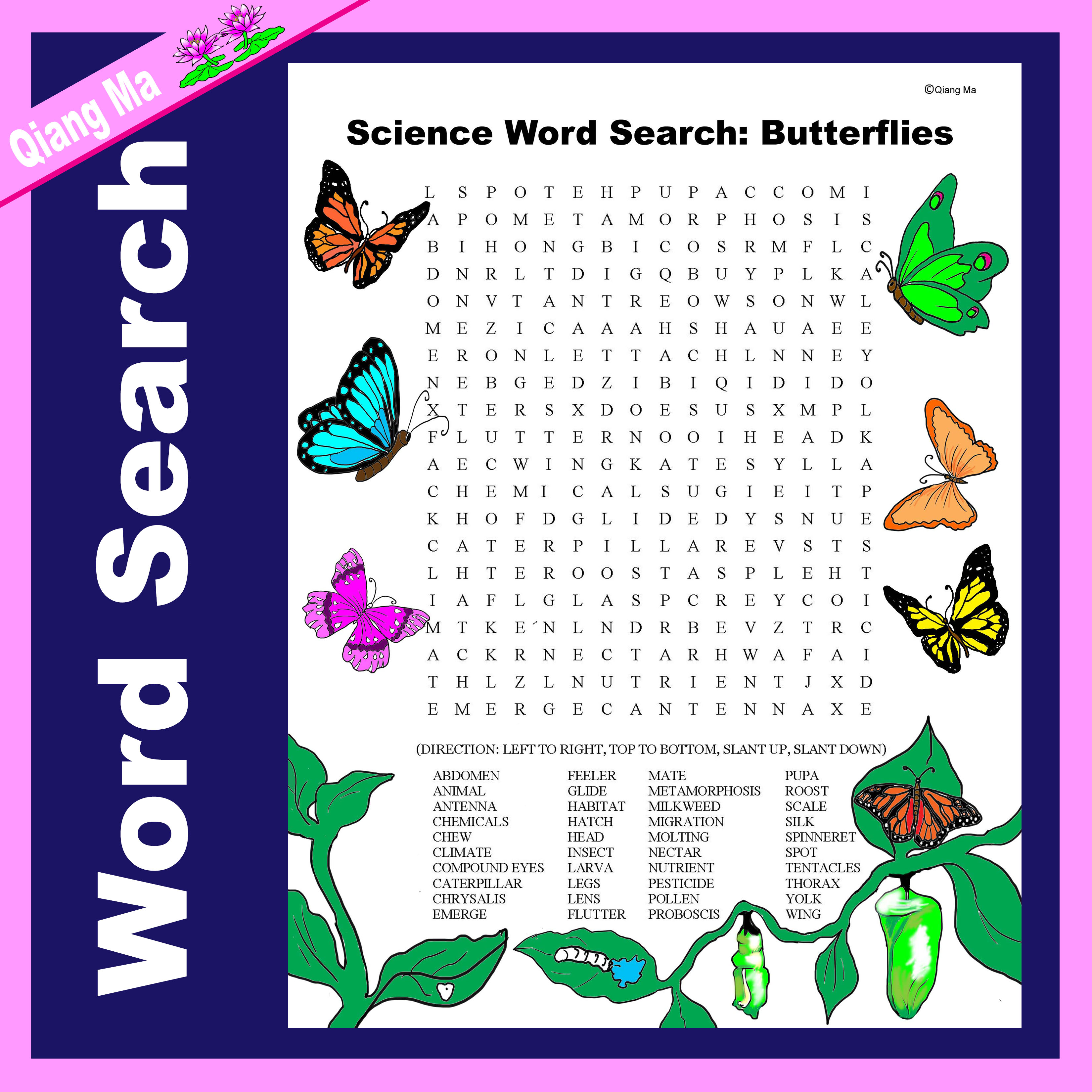Science Word Search: Butterflies