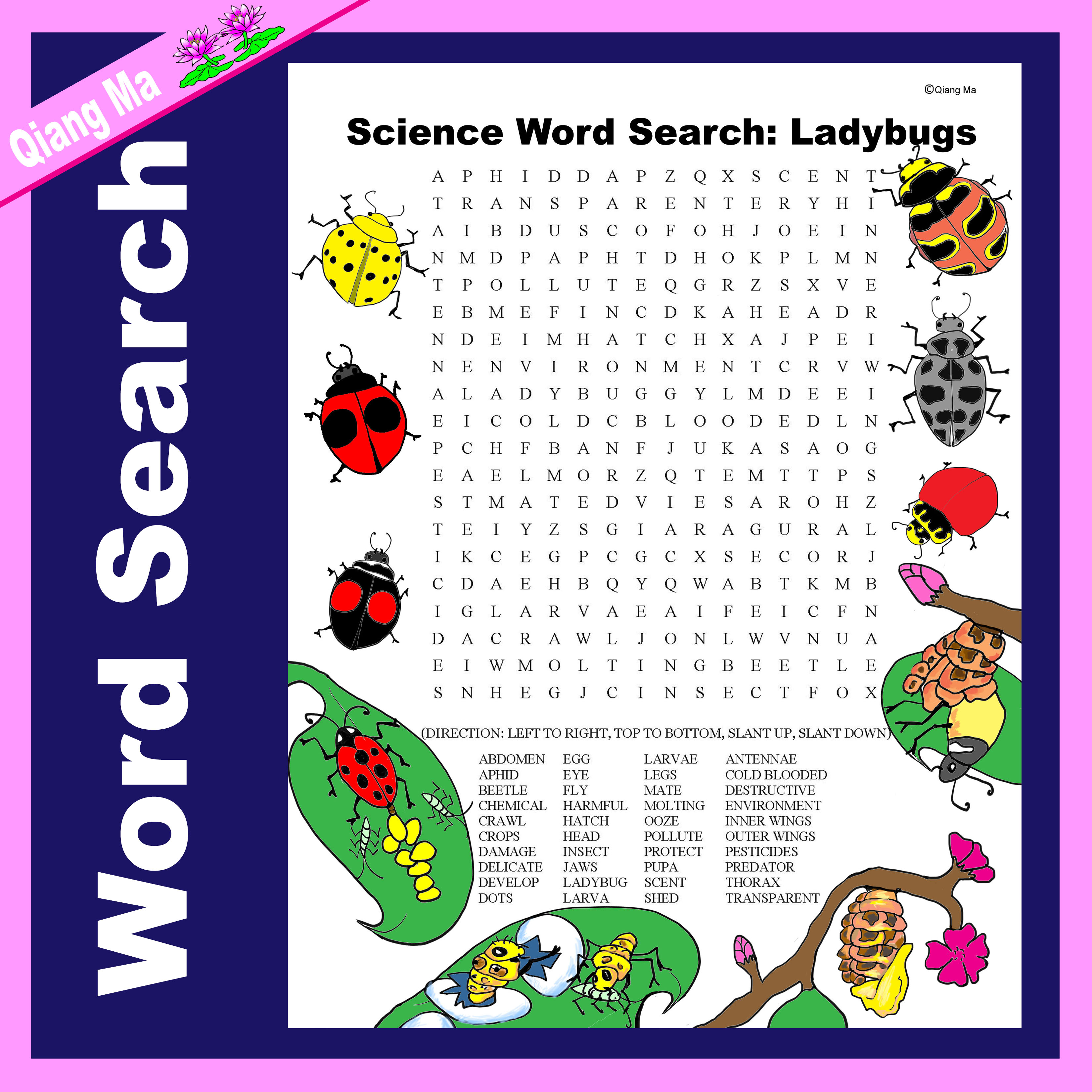Science Word Search: Ladybugs