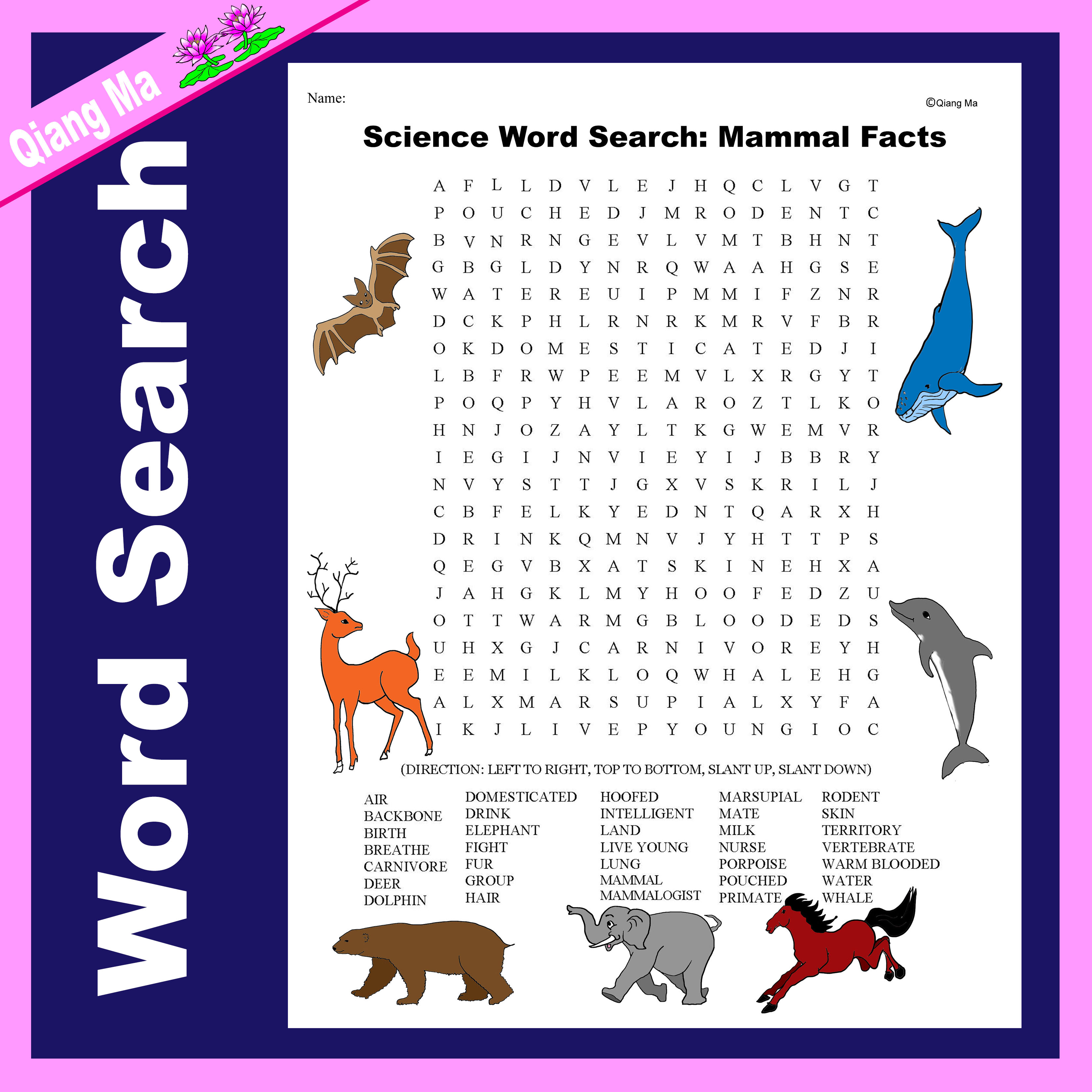Science Word Search: Mammal Facts