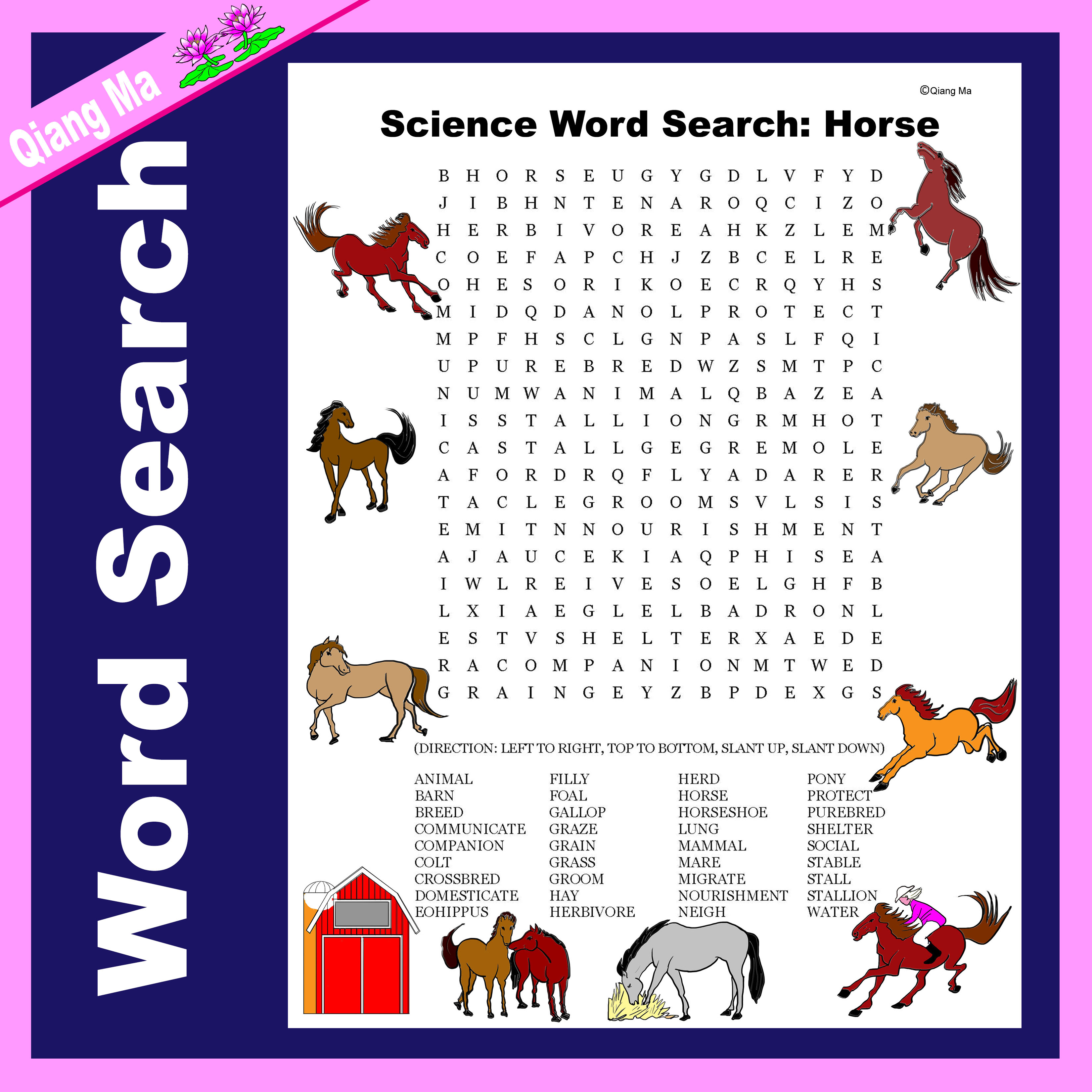 Science Word Search: Horse