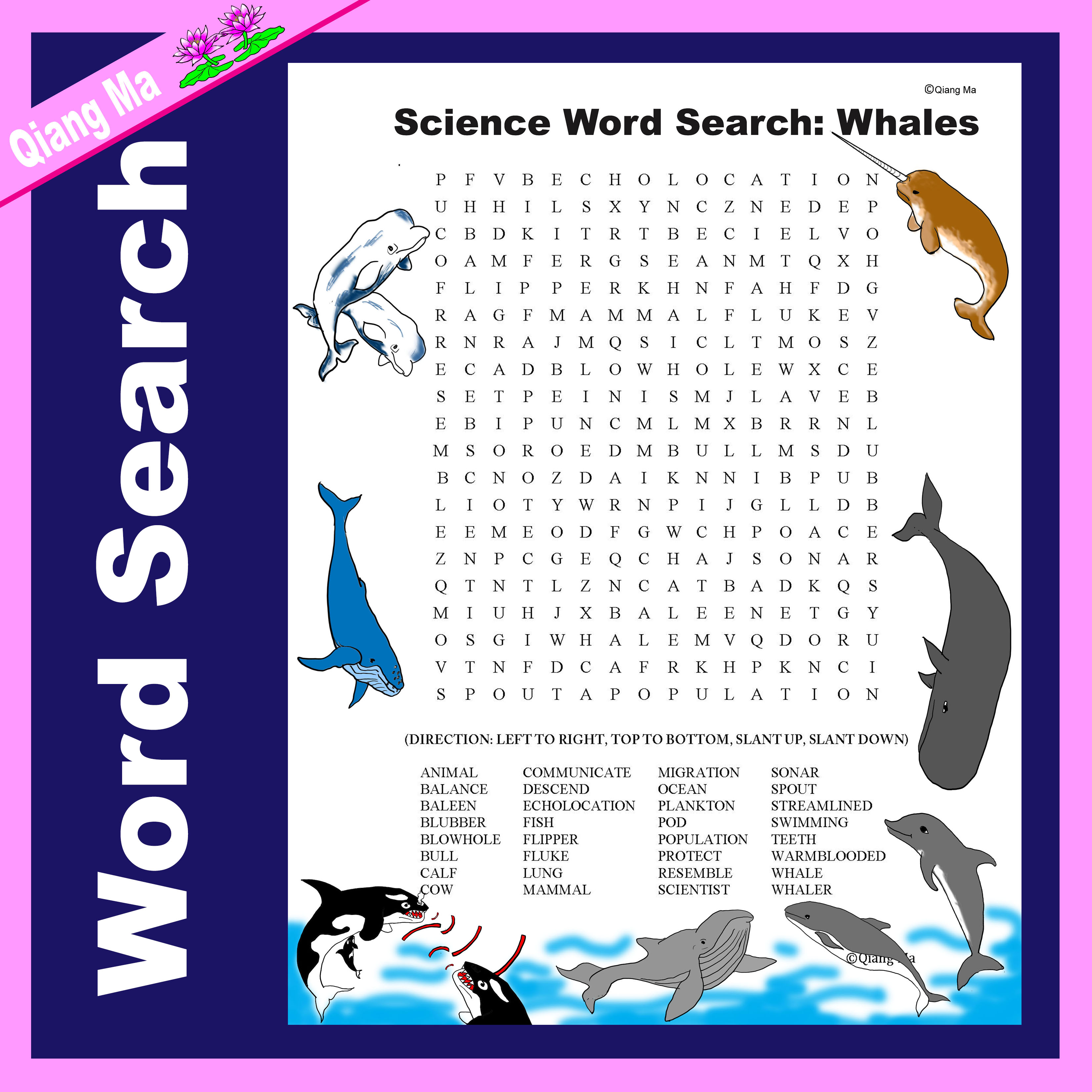 Science Word Search: Whales