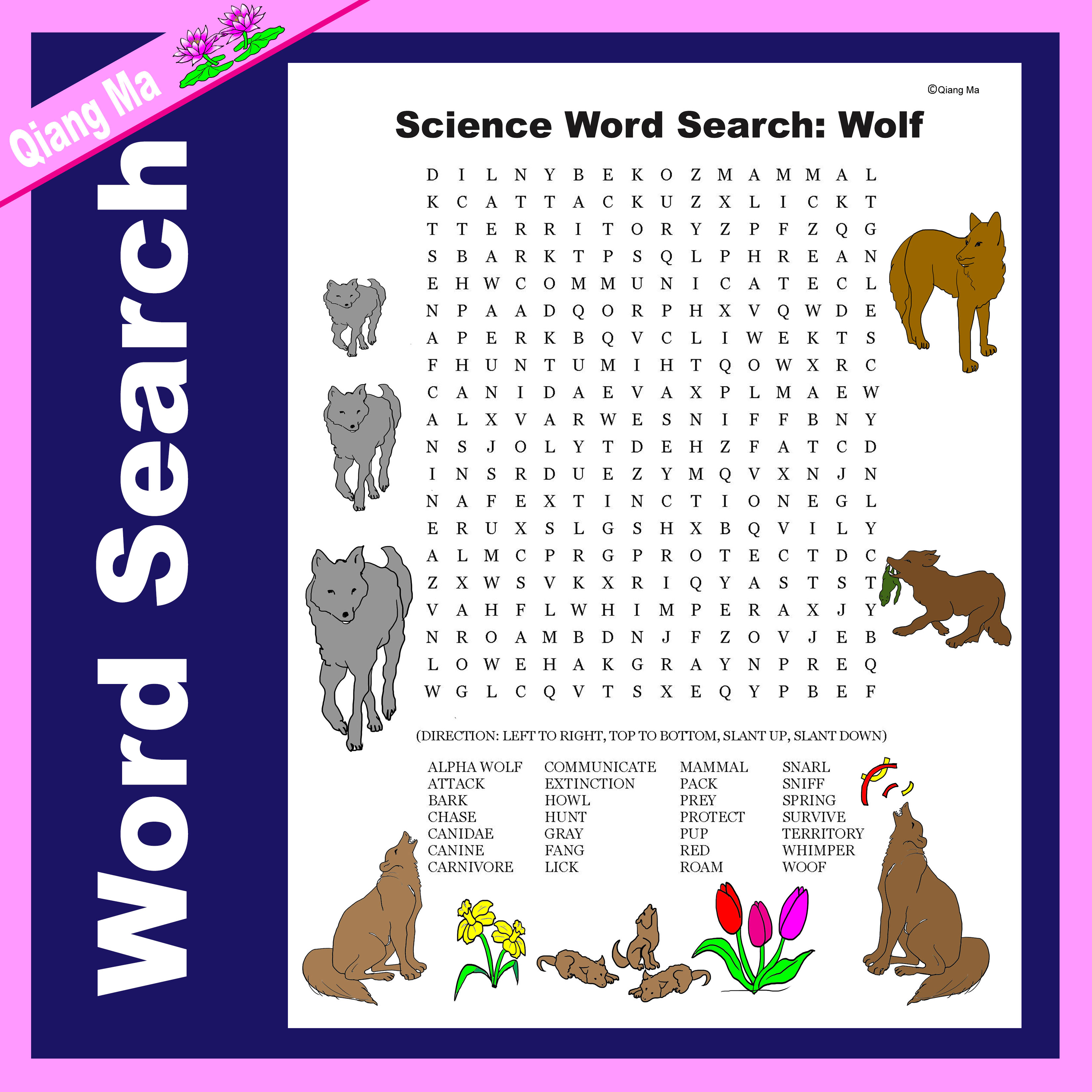 Science Word Search: Wolf