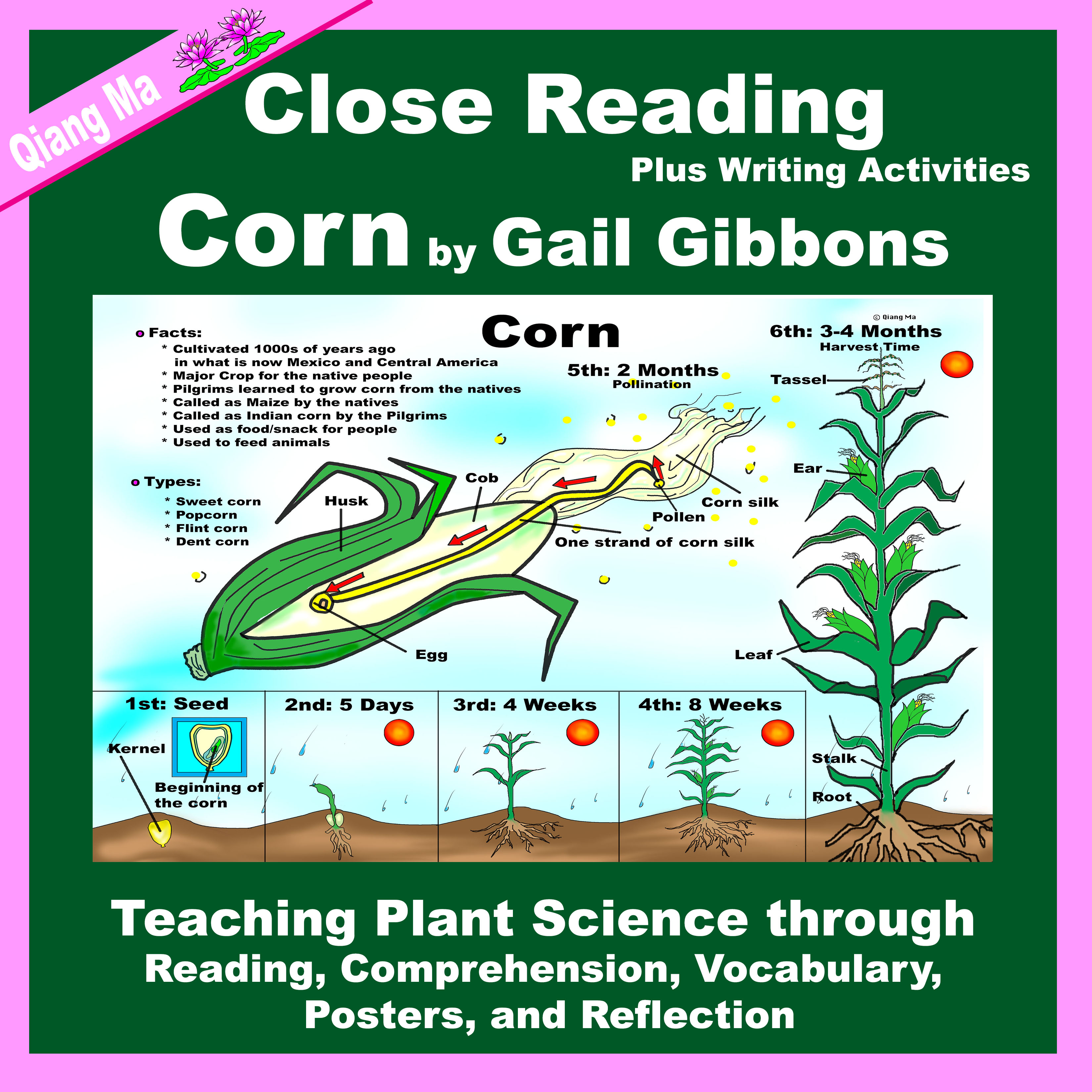 Close Reading: Corns by Gail Gibbons